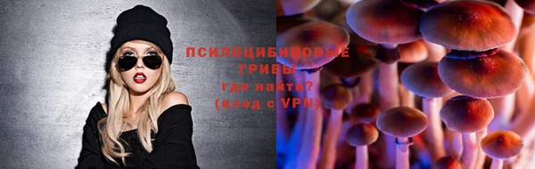 мяу мяу кристалл Покачи