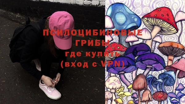 дурь Покров