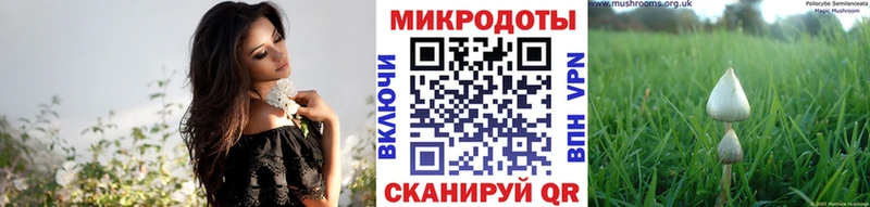 купить  цена  МЕГА маркетплейс  Галлюциногенные грибы Magic Shrooms  Пудож 